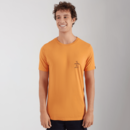 imagem do produto Camiseta Logo Degrad Manga Curta Em Algodo Masculina - Original Penguin