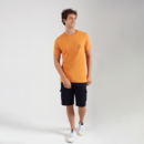 imagem do produto Camiseta Logo Degrad Manga Curta Em Algodo Masculina - Original Penguin