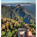 imagem do produto Caneca Esmaltada para Caf Eu Sou Aquilo que me Inspira Creme - Guepardo