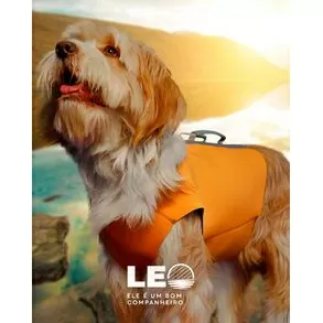 imagem de Colete em Neoprene para Cachorro Leo  - Baut