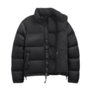 imagem do produto Jaqueta 1996 Retro Nuptse De Pluma De Ganso 700 Fill Down Feminina - The North Face