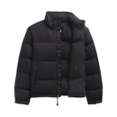 imagem do produto Jaqueta 1996 Retro Nuptse De Pluma De Ganso 700 Fill Down Masculina - The North Face