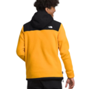 imagem do produto Jaqueta Fleece Polartec Alpine 200 Masculina - The North Face